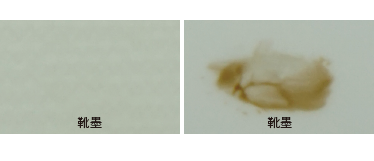 比較画像
