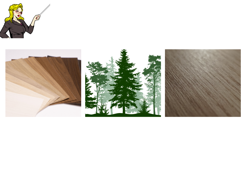 木目選びでもう迷わない！　WRのポイント