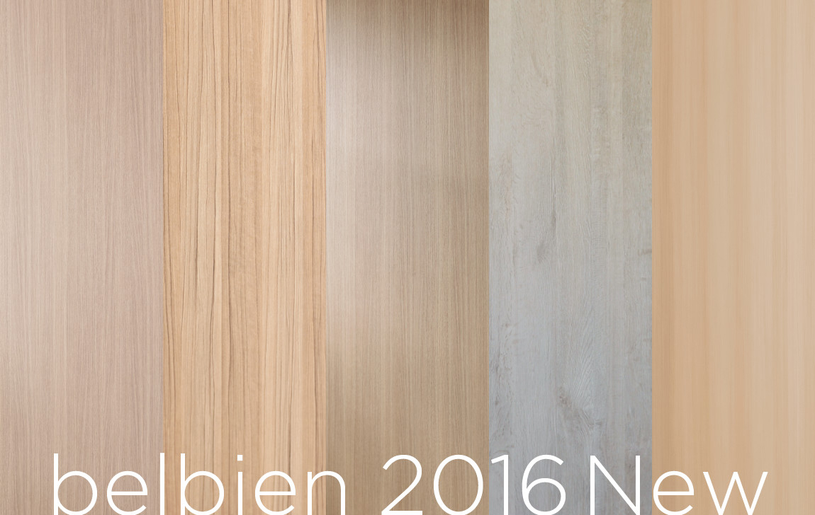 belbien 2016 New