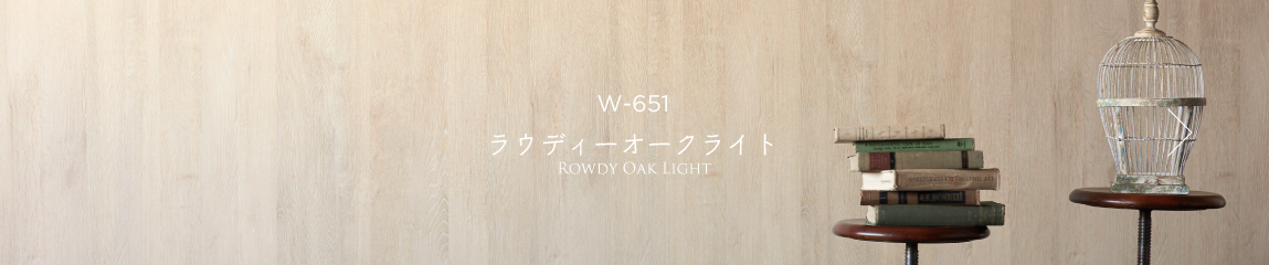 W-651 ラウディーオークライト