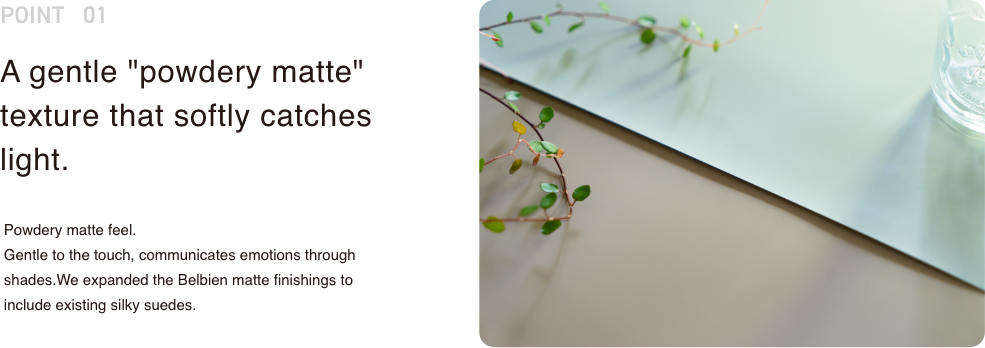 POINT01 A gentle powdery matte 
texture that softly catches light.
