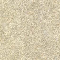 52691CPZ-OnWhite-NoCanopy-