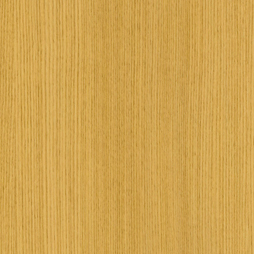 谷地だも［やちだも］（柾） | ベルビアン