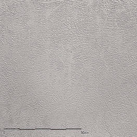 シルバーグレイエンズ | ベルビアン