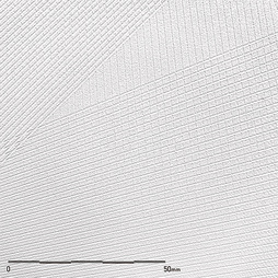 プレシャスホワイトデルタ ベルビアン