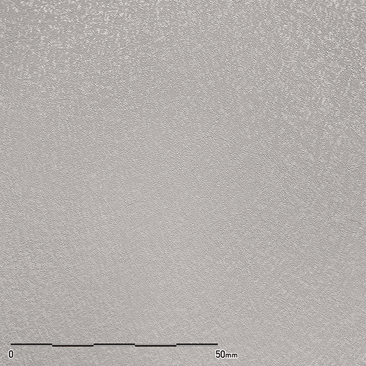 シルバーグレイティシュ | ベルビアン