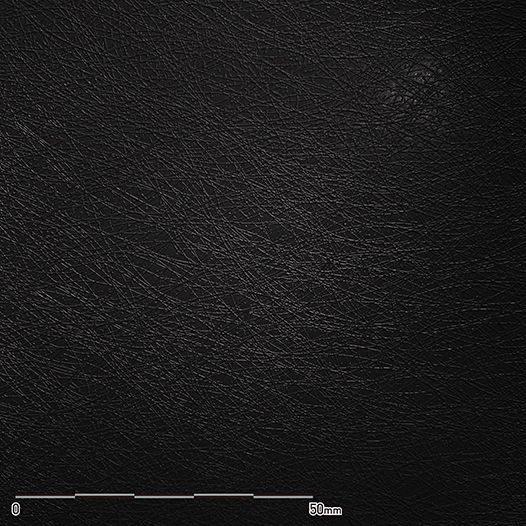 カーボンブラックリプル | ベルビアン