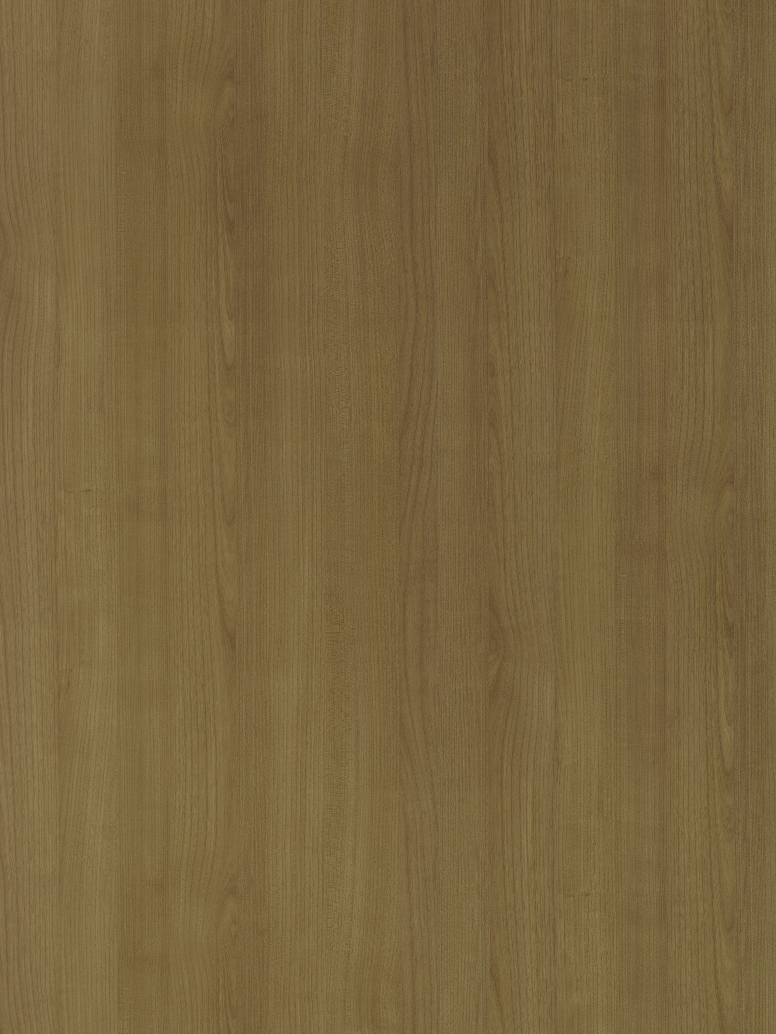 エスエフチェリー（半板） | ベルビアン