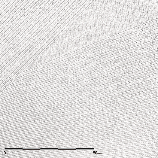 be White Delta Product belbien