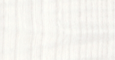 W-304